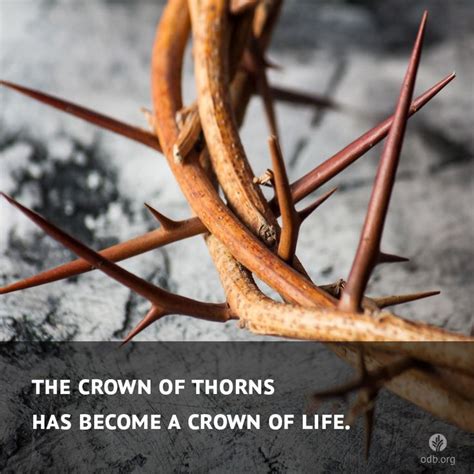 Curae of thorns